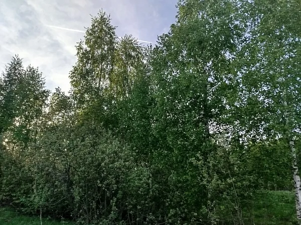 Дом, 142 кв.м.