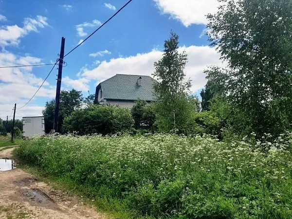 Участок, Конино д