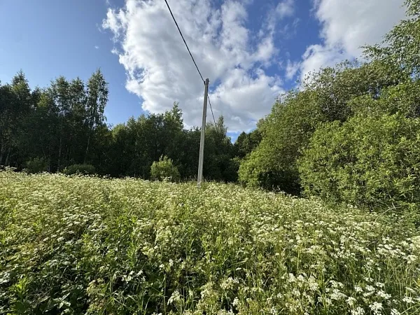 Участок, Коркино д