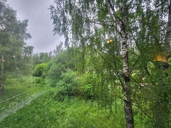 Квартира