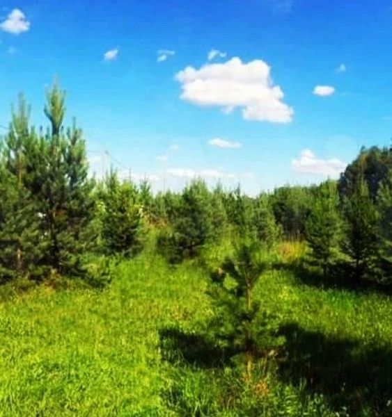 Участок